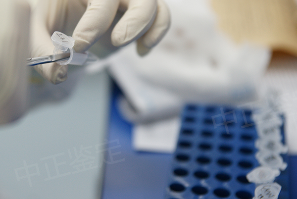 安徽隐私亲子鉴定结果准吗,